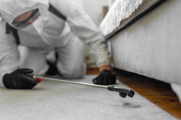 Professional Wasp Control technician working in Lake Lotawana, MO