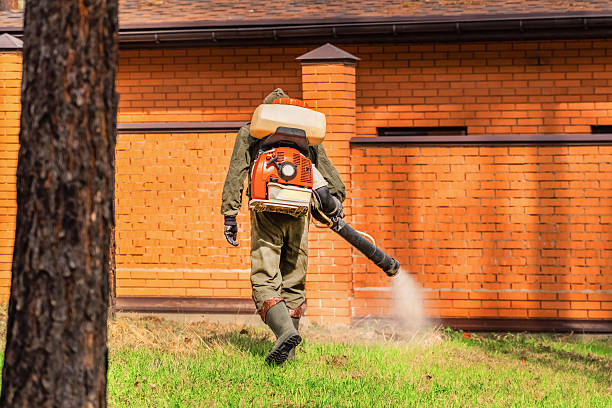 Trusted Emergency Pest Control service in Lake Lotawana, MO - Nex Pest Control